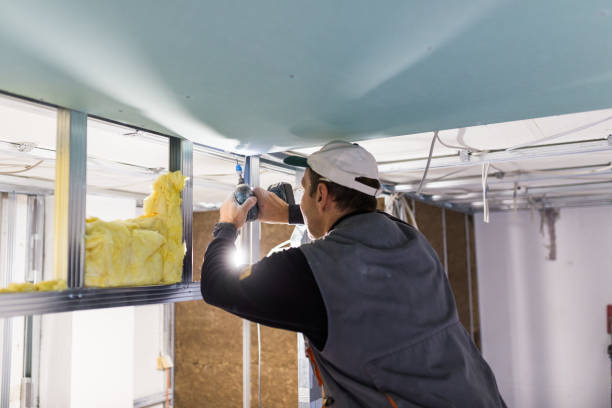 Best Specialty Insulation in Taylorvle, IL