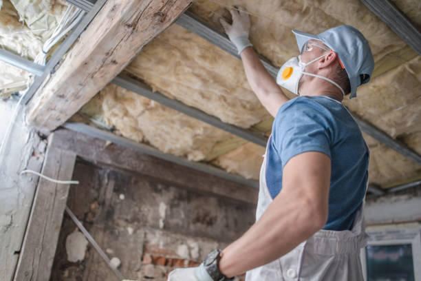 Best Types of Insulation in Taylorvle, IL