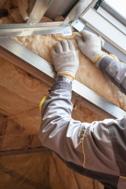 Best Insulation for Specific Applications in Taylorvle, IL