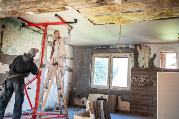 Best Types of Insulation in Taylorvle, IL