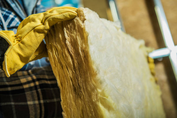 Best Residential Insulation in Taylorvle, IL