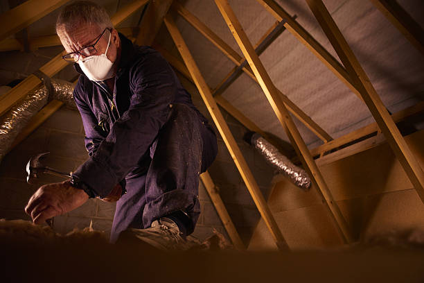 Best Insulation Maintenance and Repair in Taylorvle, IL